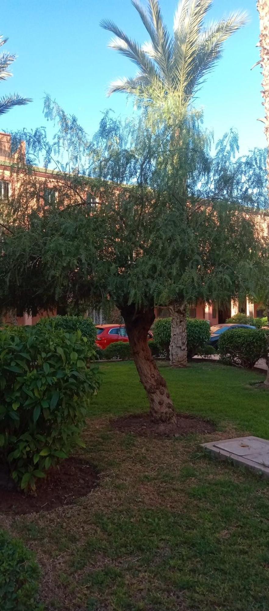 Riad Nour Resorts-Riad Nour Travel Марракеш Екстер'єр фото
